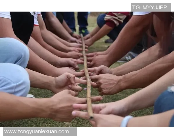 广州篮球队阵地战革新探索：战术创新与团队协作的完美结合