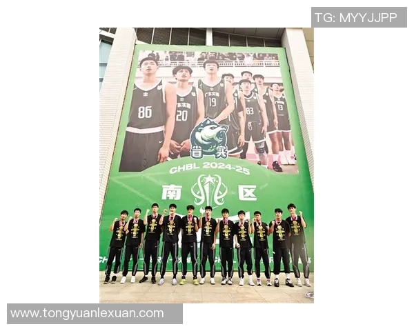 武汉羽毛球队区域防守创新之路：战术变革与团队协作的深度解析