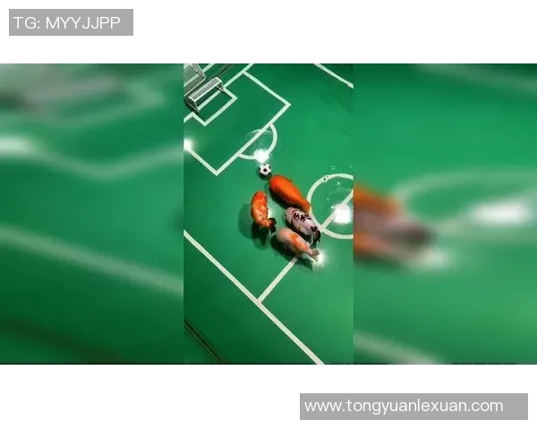 足球明星在海边悠闲抓鱼的趣味瞬间展现运动员生活的另一面