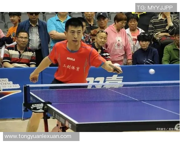 乒乓球的魅力与挑战：深入探讨上海乒乓球队的转型与发展之路