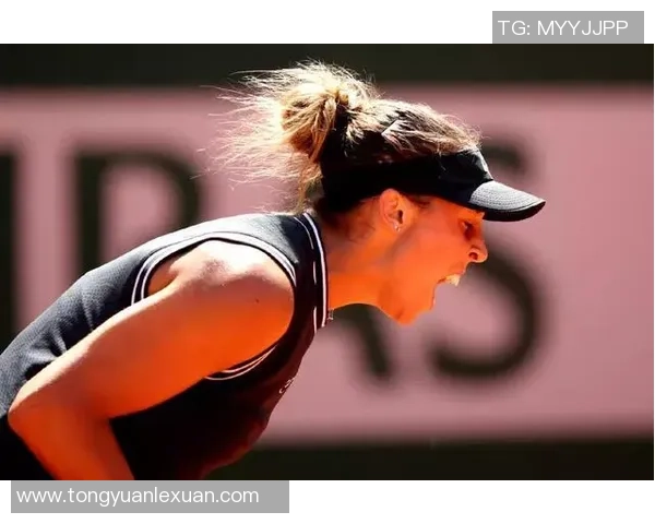 与张丽对话探讨她的网球生涯与未来发展之路 与张丽对话探讨她的网球生涯与未来发展之路