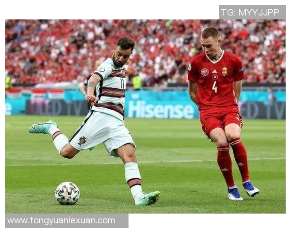 足球明星因尼斯特的传奇人生与辉煌成就解析