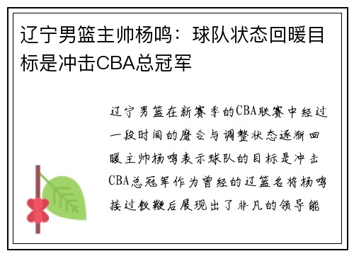 辽宁男篮主帅杨鸣：球队状态回暖目标是冲击CBA总冠军